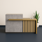 Concrete Muse Reception Desk