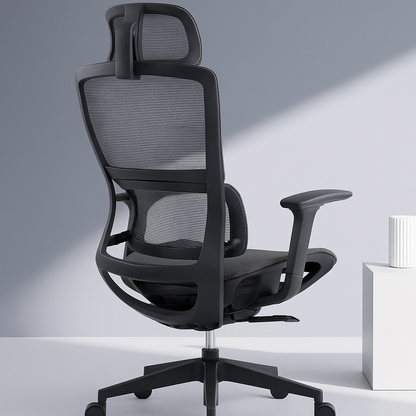 ErgoAura Executive Chair